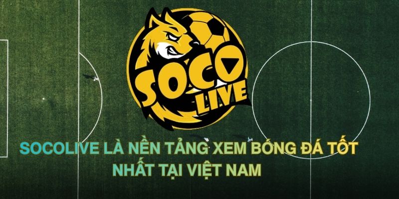 Socolive là nền tảng xem bóng đá tốt nhất tại Việt Nam